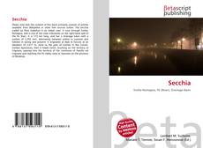 Capa do livro de Secchia 