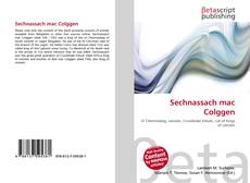 Couverture de Sechnassach mac Colggen