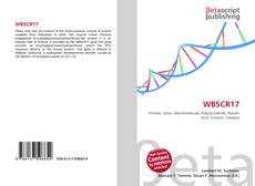 Portada del libro de WBSCR17