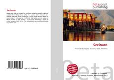 Portada del libro de Secinaro