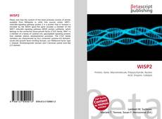 Portada del libro de WISP2