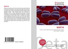 Bookcover of WNT16
