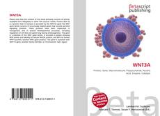 Buchcover von WNT3A