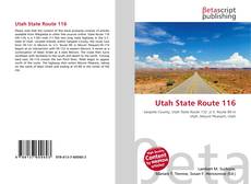 Utah State Route 116 kitap kapağı