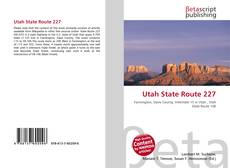 Buchcover von Utah State Route 227