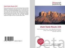 Buchcover von Utah State Route 224
