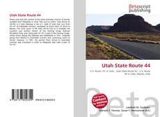 Buchcover von Utah State Route 44