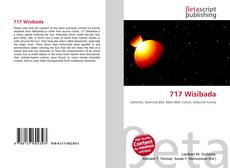 Buchcover von 717 Wisibada