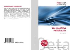 Обложка Spermophilus Pallidicauda