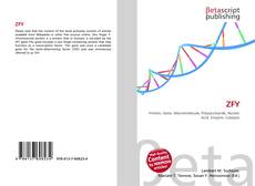 Capa do livro de ZFY 