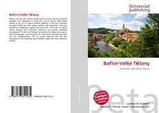 Bařice-Velké Těšany kitap kapağı
