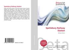 Spetisbury Railway Station kitap kapağı