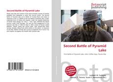 Second Battle of Pyramid Lake的封面