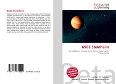 Couverture de 6563 Steinheim
