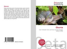 Buchcover von Eburna