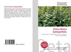 Urtica Dioica Galeopsifolia的封面