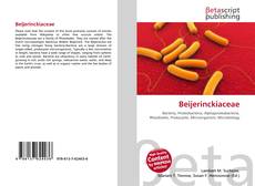 Beijerinckiaceae kitap kapağı