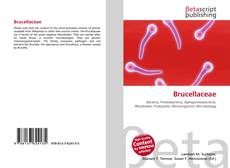 Portada del libro de Brucellaceae
