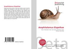 Bookcover of Amphitalamus Elspethae