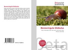Buchcover von Boreocingula Globulus