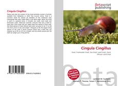 Cingula Cingillus的封面