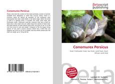 Bookcover of Conomurex Persicus