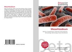 Buchcover von Mesorhizobium