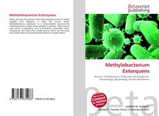 Buchcover von Methylobacterium Extorquens