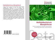 Buchcover von Methylobacterium Mesophilicum