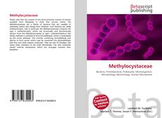 Buchcover von Methylocystaceae