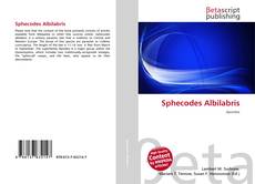 Sphecodes Albilabris的封面