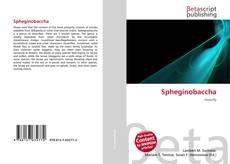 Spheginobaccha的封面