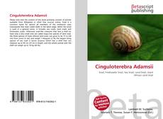 Couverture de Cinguloterebra Adamsii