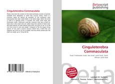 Bookcover of Cinguloterebra Commaculata