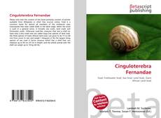 Borítókép a  Cinguloterebra Fernandae - hoz