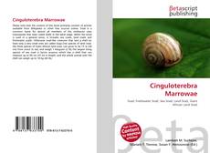 Cinguloterebra Marrowae的封面