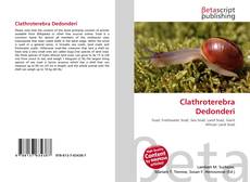 Clathroterebra Dedonderi的封面