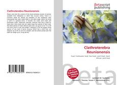 Bookcover of Clathroterebra Reunionensis