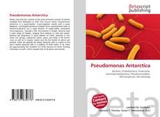 Bookcover of Pseudomonas Antarctica