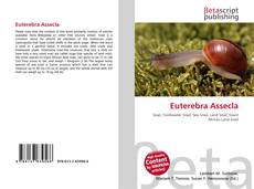 Couverture de Euterebra Assecla