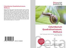 Borítókép a  Columbarium Quadrativaricosum, Mollusca - hoz