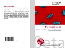 Bookcover of Brachyspiraceae
