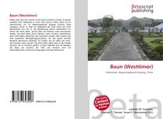 Baun (Westtimor)的封面