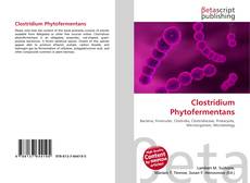 Buchcover von Clostridium Phytofermentans