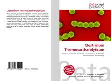 Обложка Clostridium Thermosaccharolyticum