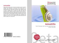 Aoteadrillia的封面