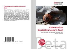 Columbarium Quadrativaricosum, Snail的封面