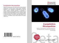 Buchcover von Erysipelothrix Rhusiopathiae
