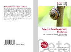Обложка Coluzea Canaliculatum, Mollusca