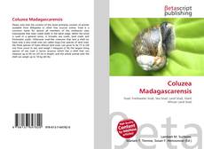 Portada del libro de Coluzea Madagascarensis
